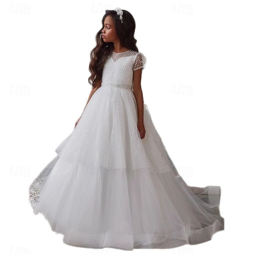 Robe de bal longueur sol robe de demoiselle d'honneur première communion Elsa d'hiver robe prom mignonne tulle avec tutu de style royal ajusté 3-16 ans de 2025 ? $104.99 –P5