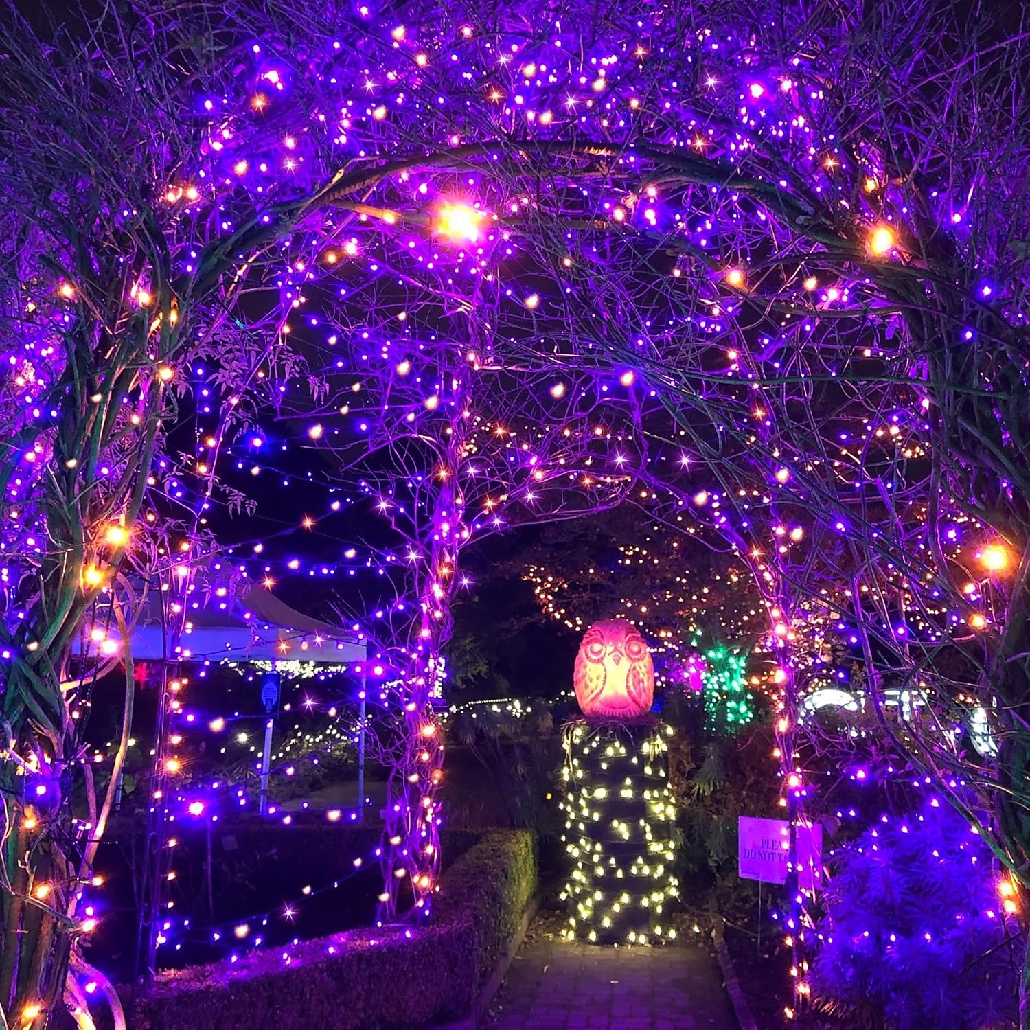 1 kpl ulkokäyttöön tarkoitettu aurinkokennovalosarja, vedenpitävä valosarja, 12 m, 39 jalkaa, 100 led-helmeä, sisäpiha, puutarha, nurmikko, huvila, aita, parveke, koristevalo, häät, halloween, joulu, festivaali, tunnelma, valosarja 2025 - $12.99 –P15