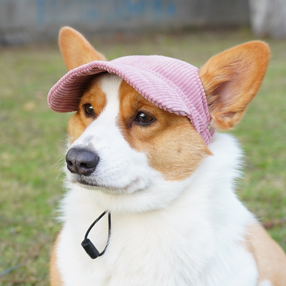 Hundebaseballcaps hund katt sommer strandhatt med ørehull justerbar valpehatt hodeplagg 2025 - $15.49 –P2