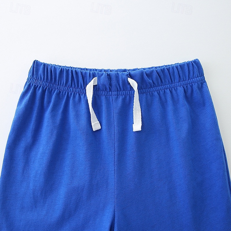 2 osainen Lapset Poikien Puku T-paita ja shortsit Asu Piirretty Lyhythihainen Crewneck Aseta ulko- Muoti Perus Kesä 4 vuotta + Sininen 2025 - $18.99 –P4