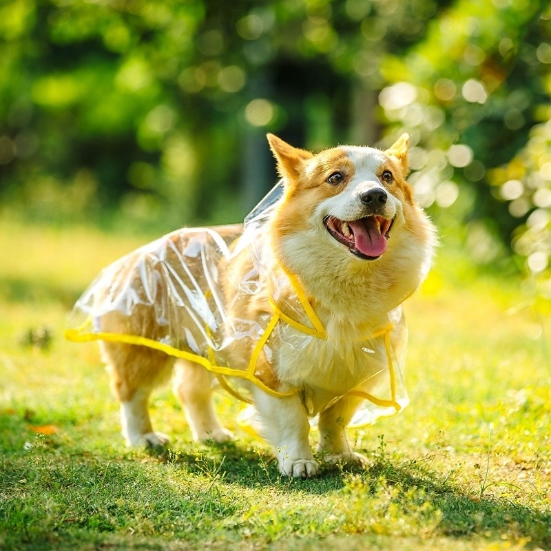 2025年 ペット犬用レインコート防水ジャケット犬用レインポンチョポータブルレインコート通気性軽量通気性軽量小型中型犬に適しています コレクション – $25.99 –P11