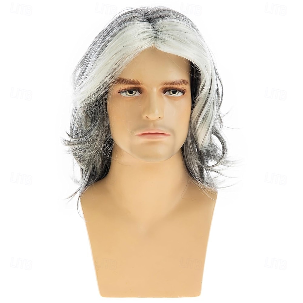 Herrenperücke grau lang glatt synthetische hitzebeständige Kostüm Cosplay Haarperücke 2025 - $25.99 –P2