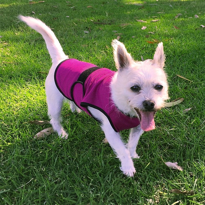 Camisas para cães, camisetas elásticas e macias de secagem rápida para animais de estimação com etiqueta refletiva, regata sem mangas, colete com proteção solar, roupas para cães de médio e grande de 2025 por $18.49 –P5