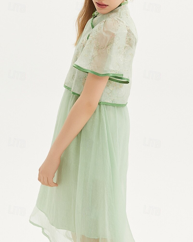 Kids Girls' Dress Solid Color Short Sleeve Outdoor Mesh Patchwork Adorable Polyester Knee-length Casual Dress Summer 4 years+ Green 2025 - $64.99 –P6