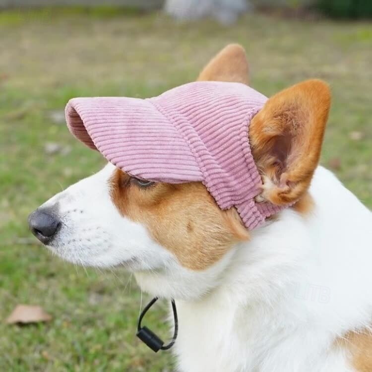 Hundebaseballcaps hund katt sommer strandhatt med ørehull justerbar valpehatt hodeplagg 2025 - $15.49 –P1