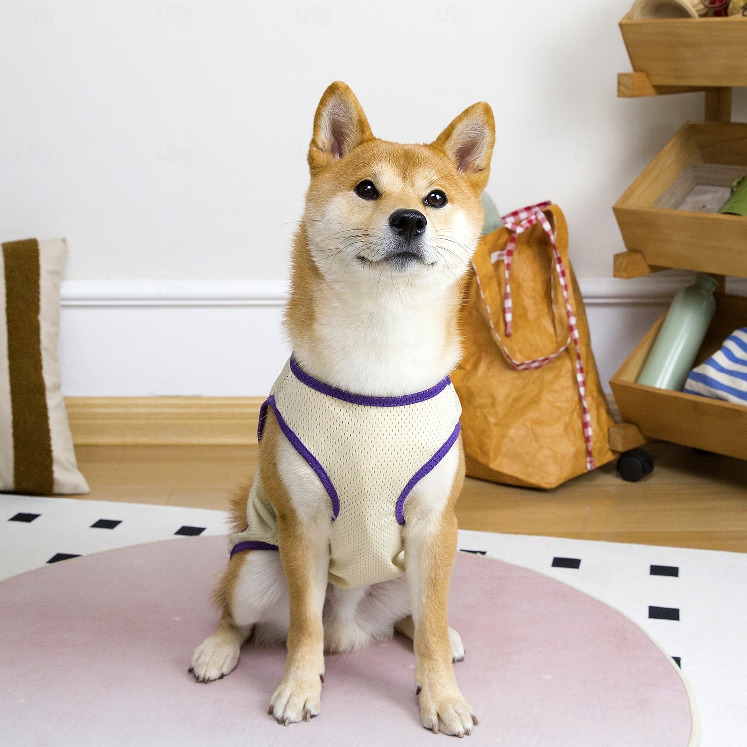 Dog Shirts Quick Dry Soft Stretchy Pet T-Shirts with Reflective Label Tank Top Sleeveless Vest Sun Protection Dog Clothes for Large Dogs 2025 - $15.49 –P5