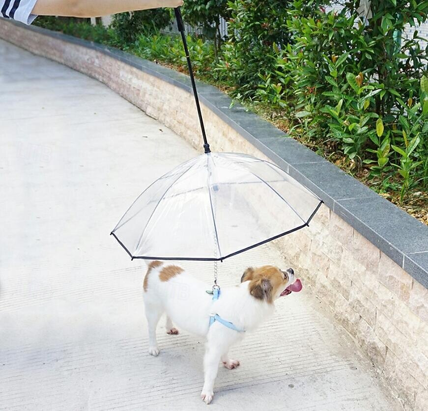Paraguas para perros pequeños, correa transparente para paraguas, impermeable, paraguas para pasear perros con cadena de metal, equipo de lluvia para exteriores para mascotas. 2025 - $23.99 –P8