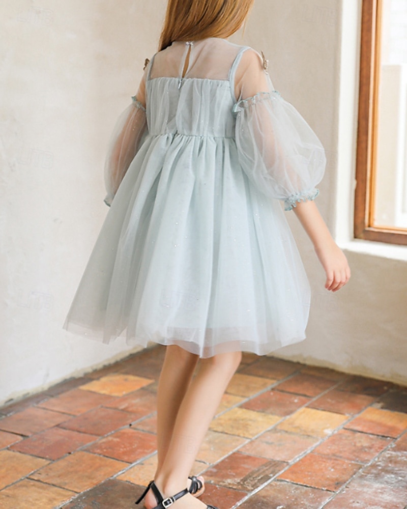 Enfants Fille Robe Couleur Unie Manche 3/4 Extérieur Maille Adorable Coton Mi-long Robe Décontractée Robe en Tulle Été 4 ans et + Bleu Ciel de 2025 ? $77.99 –P8