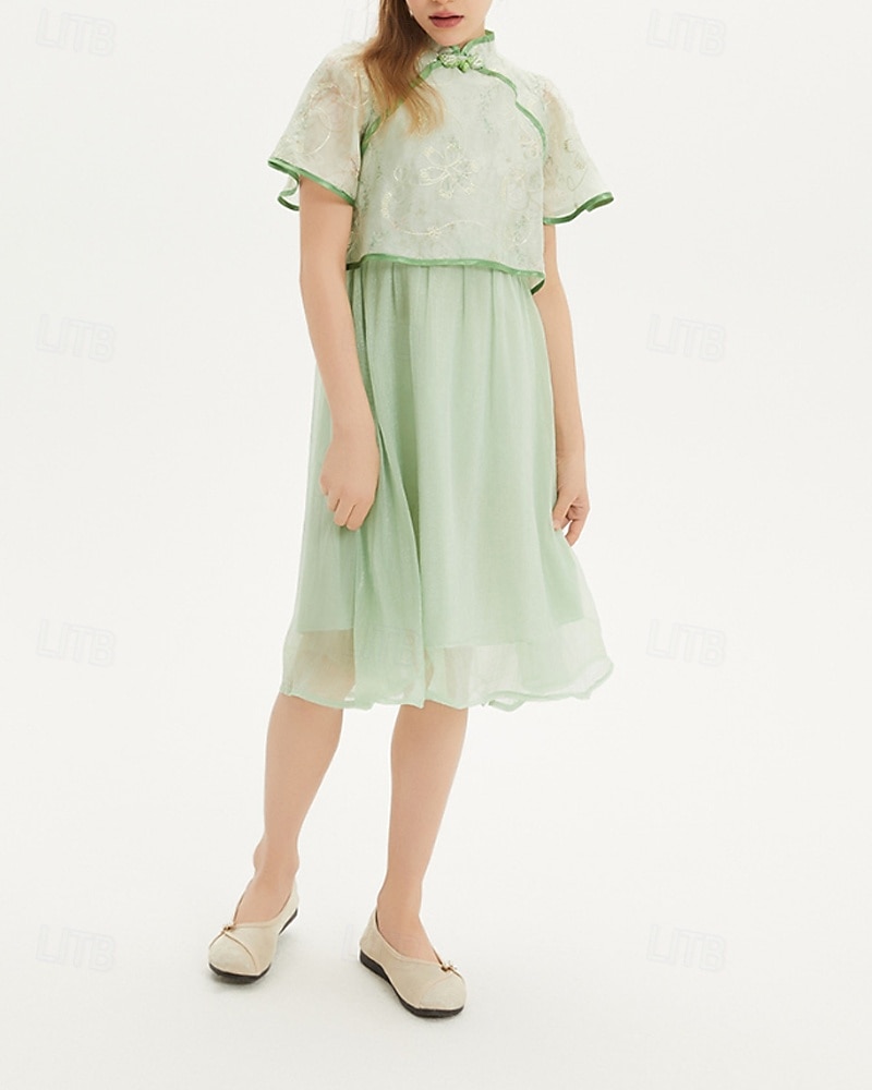 Kids Girls' Dress Solid Color Short Sleeve Outdoor Mesh Patchwork Adorable Polyester Knee-length Casual Dress Summer 4 years+ Green 2025 - $64.99 –P3