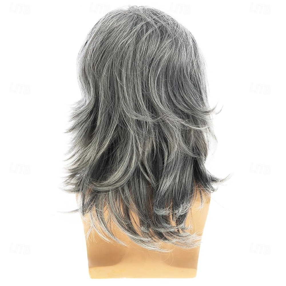 Herrenperücke grau lang glatt synthetische hitzebeständige Kostüm Cosplay Haarperücke 2025 - $25.99 –P4