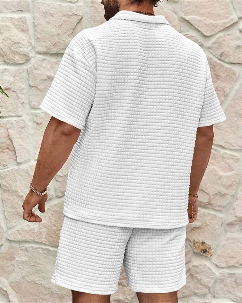 Hombre Camisetas polo polo con cremallera Exterior Ropa Cotidiana Diseño Manga Corta Moda Hawaiano Bloque de color Rayas Cremallera Verano Ajuste regular Blanco Rosa Azul Real Azul Camisetas polo 2026 - $48.99 –P5