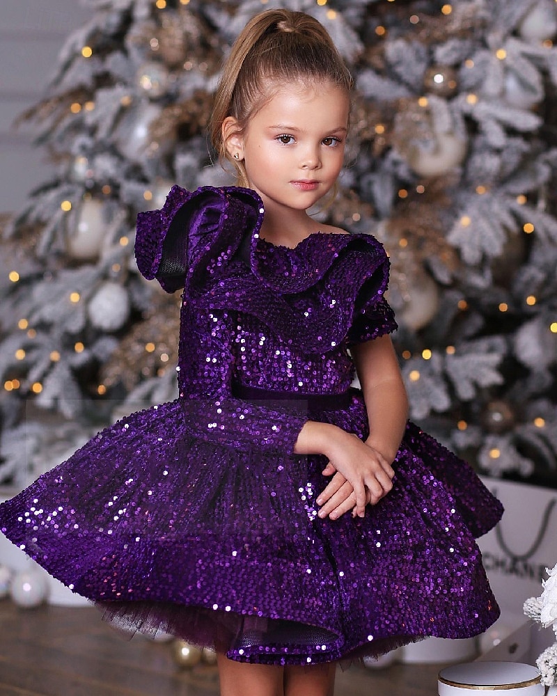 Kinder Mädchen Partykleid Einfarbig Langarm Leistung Netz Prinzessin Süß Netzstoff Knöchellang Etui-Kleid Tüllkleid Sommer Frühling Herbst Kinder Wein Blau Purpur 2025 - $79.99 –P4