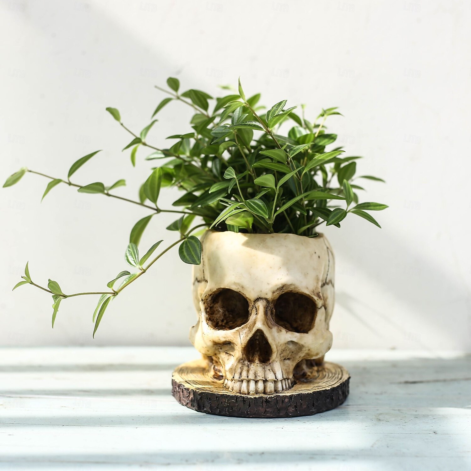 fioriera scheletro chic - costruzione in poliresina resistente e impermeabile, versatile per interni &decorazioni per esterni con piante, fiori e caramelle perfette per un Halloween spettrale e una del 2025 a $24.99 –P7