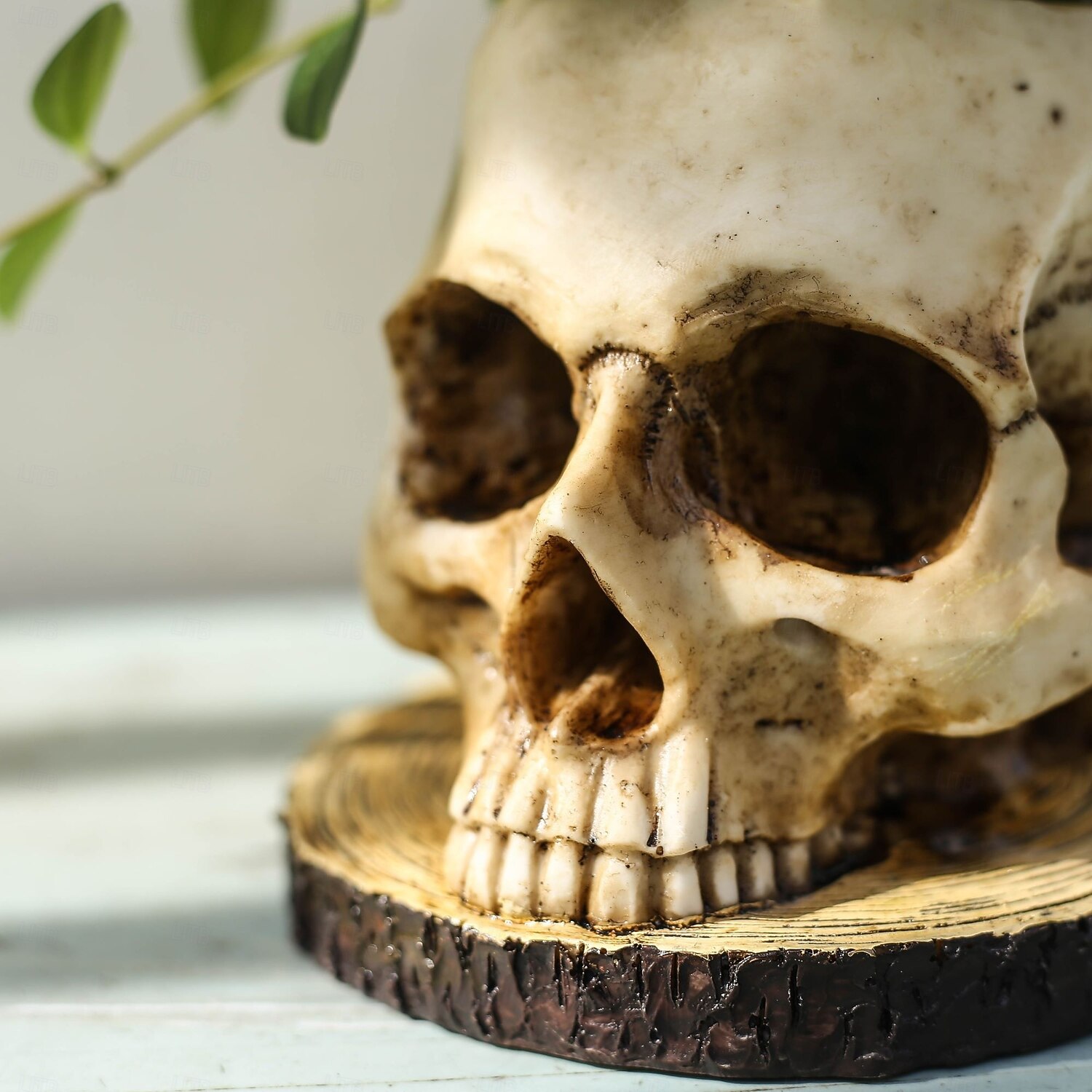 fioriera scheletro chic - costruzione in poliresina resistente e impermeabile, versatile per interni &decorazioni per esterni con piante, fiori e caramelle perfette per un Halloween spettrale e una del 2025 a $24.99 –P5