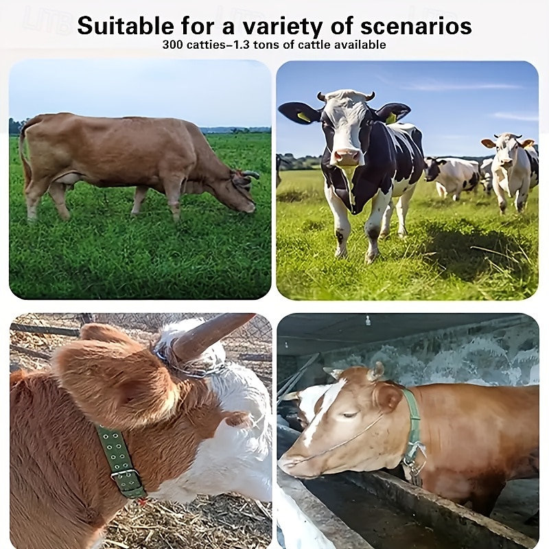 cavezza per bestiame in tela resistente, collare per collo di mucca rinforzato a quattro strati, collare in tela resistente con corda e bullone per mucche, pecore, cani e cavalli del 2025 a $9.49 –P7