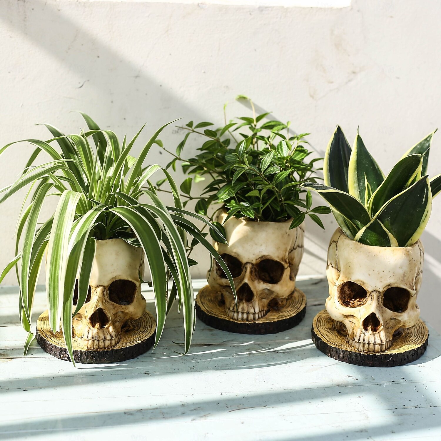 fioriera scheletro chic - costruzione in poliresina resistente e impermeabile, versatile per interni &decorazioni per esterni con piante, fiori e caramelle perfette per un Halloween spettrale e una del 2025 a $24.99 –P6