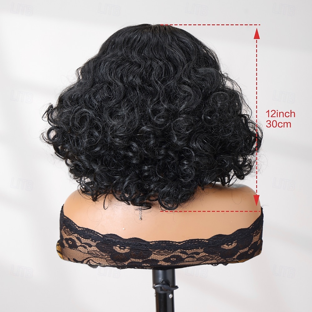 Synthetic Lace Wig Bouncy Curl Style 12 inch Black Middle Part 13x4 Lace Front Wig Women's Wig Black 2025 - $66.99 –P7