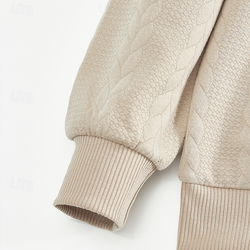 Per uomo Felpa con cappuccio e zip Felpa con zip Nero Bianco Blu marino Cachi Grigio chiaro Colletto Mao Semplice Zip a un quarto Casuale Quotidiano Ferie Streetwear Cool Casual Autunno & Inverno del 2025 a $31.99 –P6