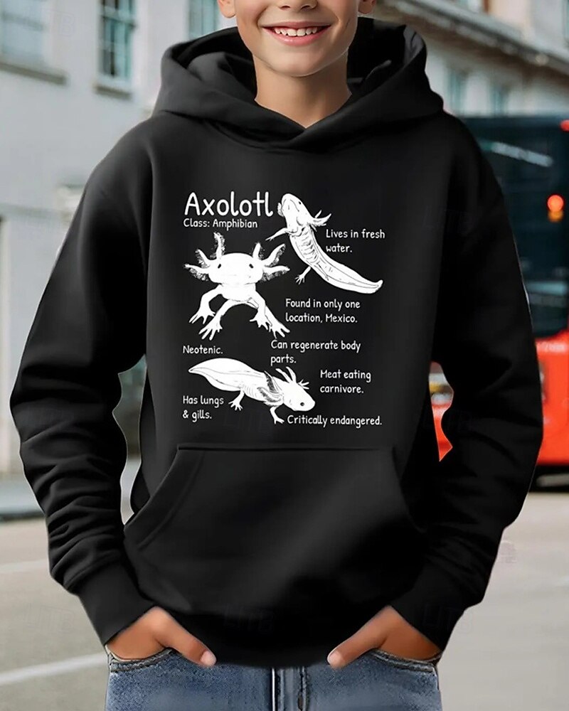 Pojkar 3D Grafisk Huvtröja Långärmad Vår Höst Mode Streetwear Barn 4-12 år Huva Utomhus Ledigt Dagligen Normal 2025 - $18.99 –P1