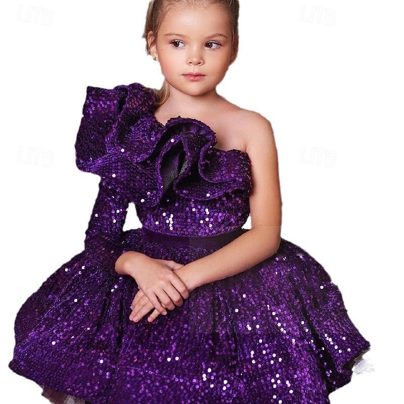 Kinder Mädchen Partykleid Einfarbig Langarm Leistung Netz Prinzessin Süß Netzstoff Knöchellang Etui-Kleid Tüllkleid Sommer Frühling Herbst Kinder Wein Blau Purpur 2025 - $79.99 –P9
