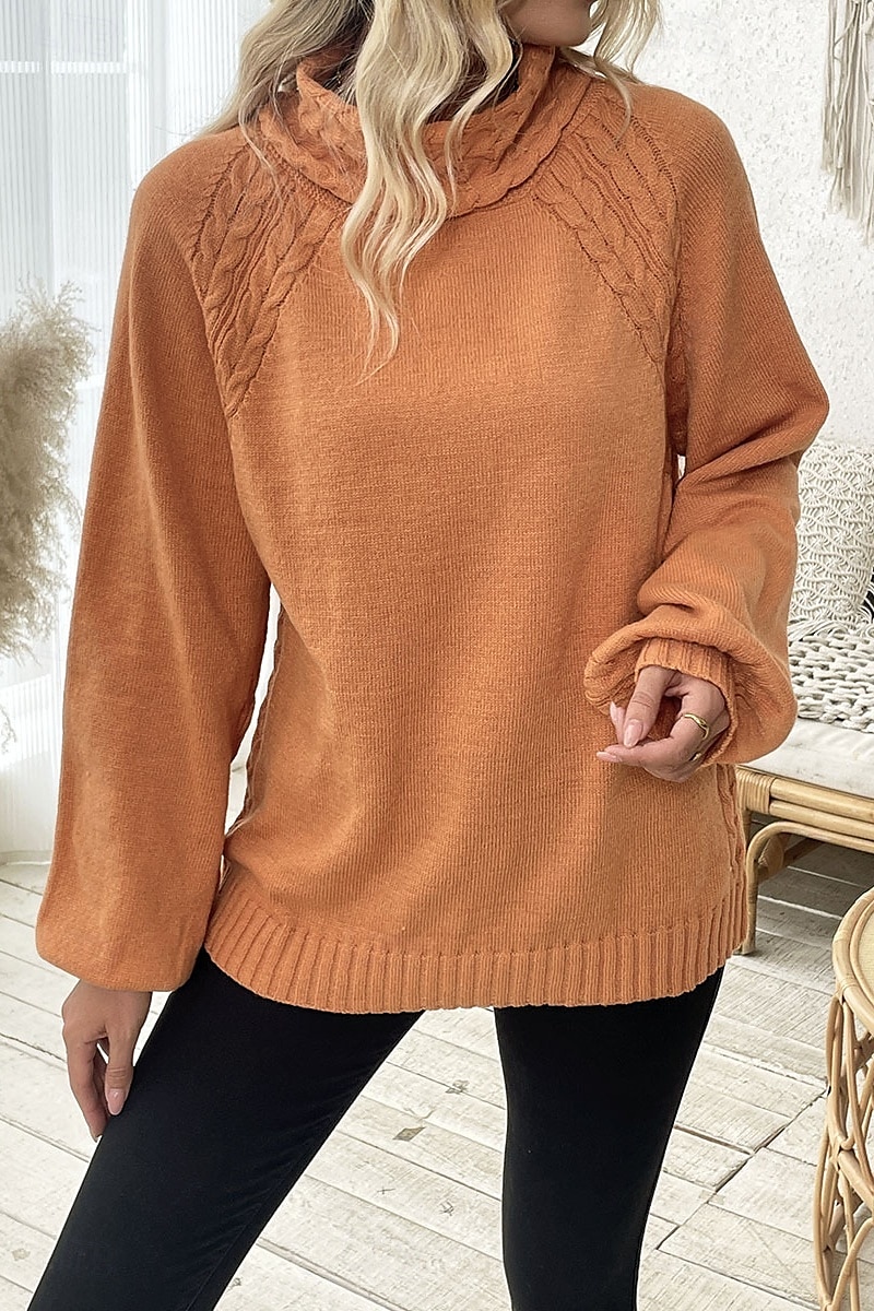 Dam Tröja Elegant Ledigt Mjukt Ren färg Ribbad Polokrage Stickat Långärmad Vanliga toppar Sticka Utomhus Dagligen Helgen Orange Höst Vinter 2025 - $37.99 –P10