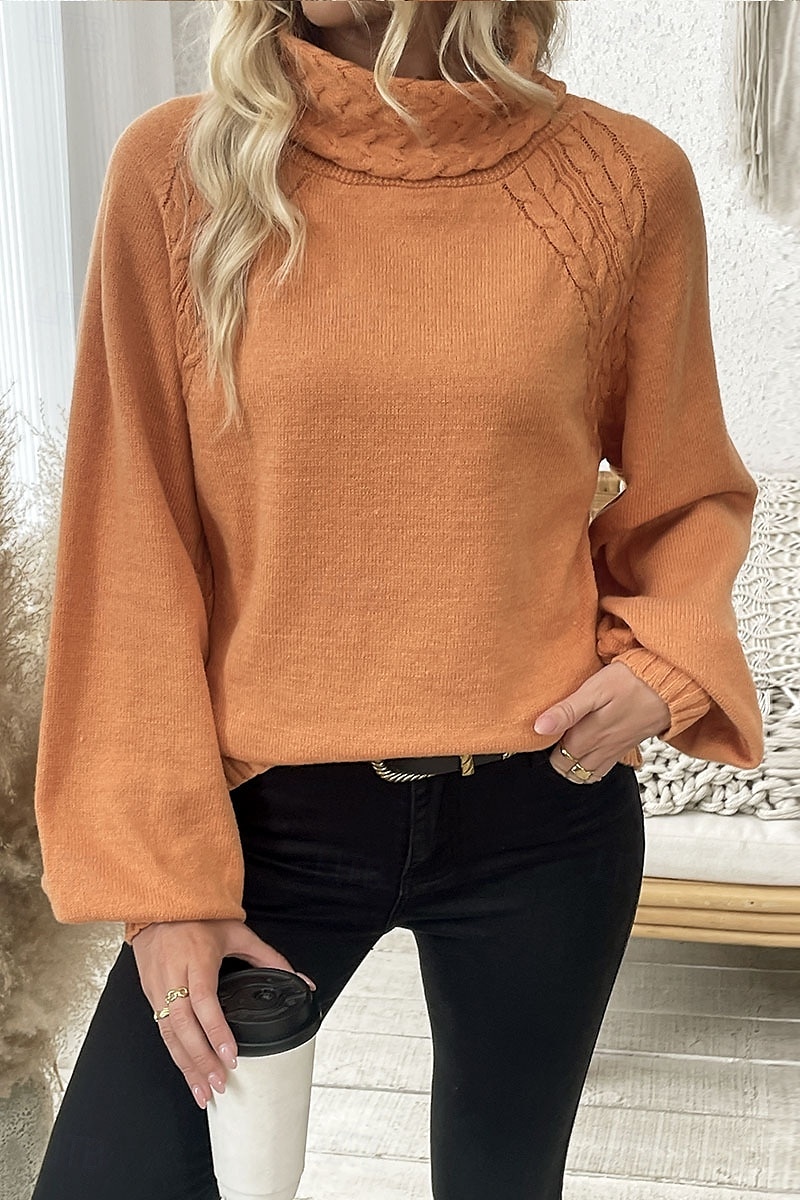 Dam Tröja Elegant Ledigt Mjukt Ren färg Ribbad Polokrage Stickat Långärmad Vanliga toppar Sticka Utomhus Dagligen Helgen Orange Höst Vinter 2025 - $37.99 –P5