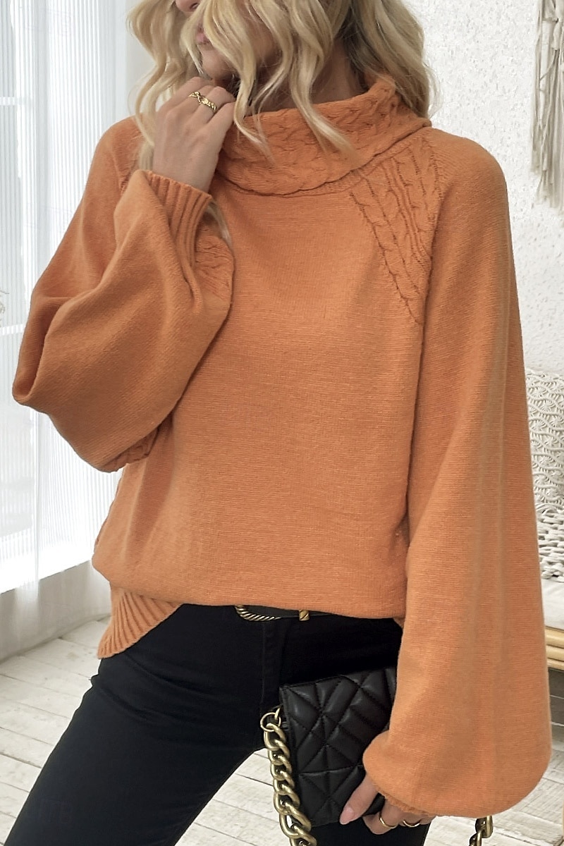Dam Tröja Elegant Ledigt Mjukt Ren färg Ribbad Polokrage Stickat Långärmad Vanliga toppar Sticka Utomhus Dagligen Helgen Orange Höst Vinter 2025 - $37.99 –P6