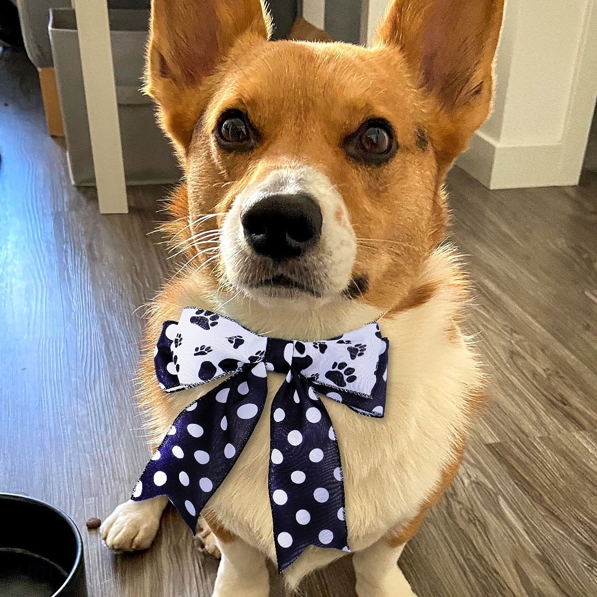 2025年 犬の足跡プリントリボン 1ロール 黄麻布ワイヤーリボン 工芸品、パーティー、結婚式、ギフト、DIYデコレーション、ラッピング、リボン作り、リース装飾用  コレクション – $7.99 –P2