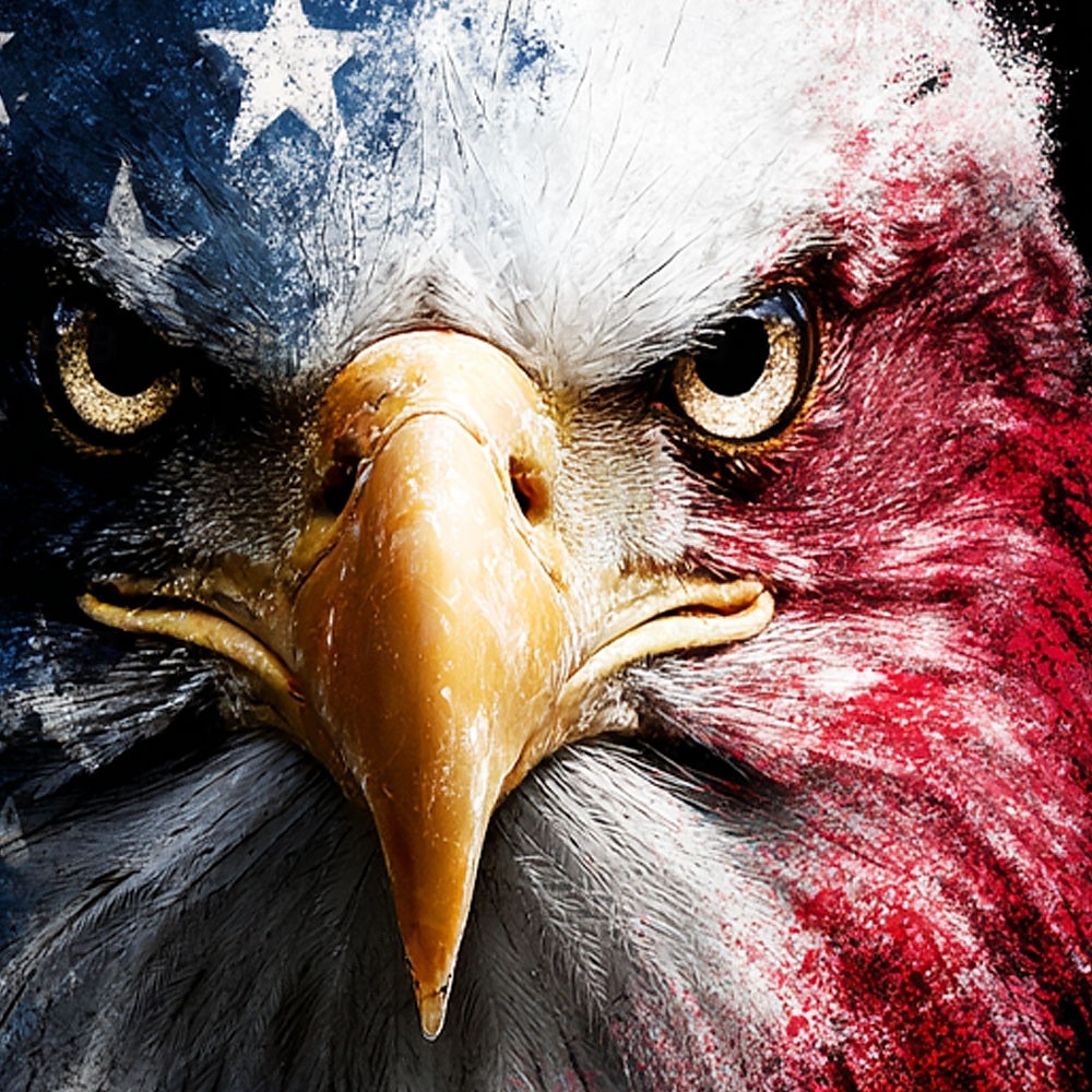Dia da Independência Homens American US Flag Águia Moletons Moletom Moletom Moletom com capuz Gola Redonda Casual Impressão 3D Feriado Caça Preto Com Cordão Arte Gráfica Outono Inverno Designer de 2025 por $26.99 –P2