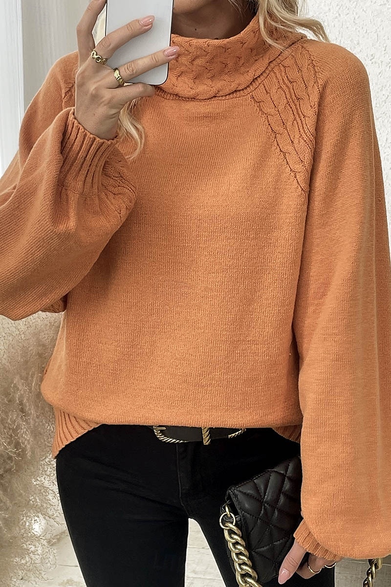 Dam Tröja Elegant Ledigt Mjukt Ren färg Ribbad Polokrage Stickat Långärmad Vanliga toppar Sticka Utomhus Dagligen Helgen Orange Höst Vinter 2025 - $37.99 –P9
