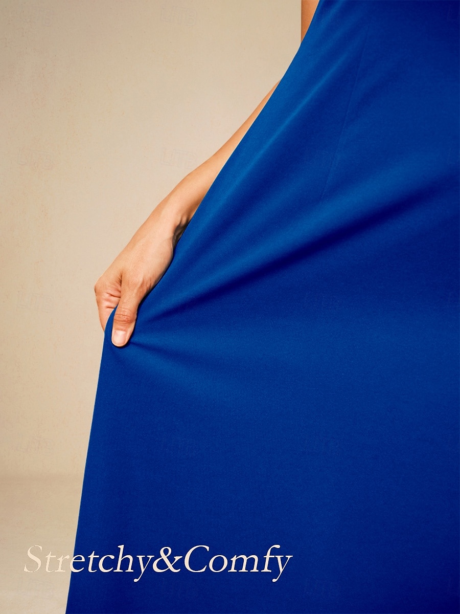 Pentru femei Rochie Maxi Rochie cu Volane Elegant Fit regulat Culoare solidă Manșon scurt Stil Nautic Albastru regal Vară Primăvară Toamnă 2025 - $99.99 –P4