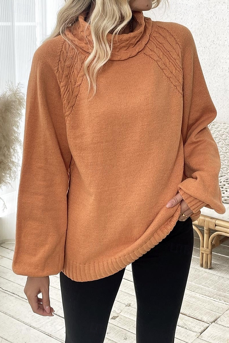 Dam Tröja Elegant Ledigt Mjukt Ren färg Ribbad Polokrage Stickat Långärmad Vanliga toppar Sticka Utomhus Dagligen Helgen Orange Höst Vinter 2025 - $37.99 –P4