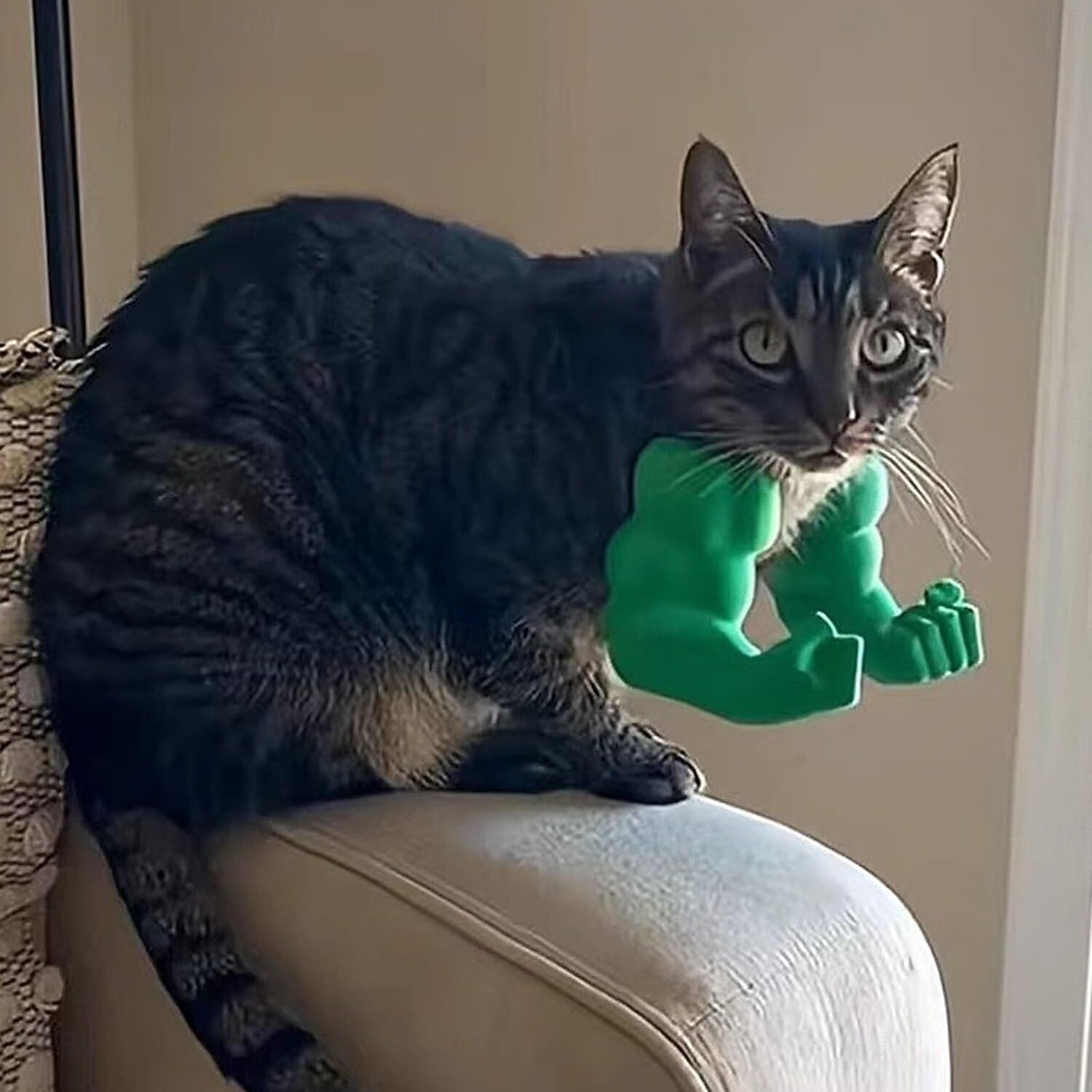 3D nyomtatott macskanyak izmos karokkal vicces macskaizom karok halloweeni macska jelmez vicces cica szuperhős kisállat cosplay kiegészítők születésnapi parti kellékek 2026 - $12.99 –P8