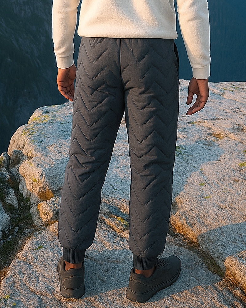 Men's Fleece Sweatpants Winter Outdoor Regular Fit Thermal Warm Bottoms Elastic Waist Drawstring Black Grey Cotton Camping / Hiking Running S M L XL XXL 2025 - $12.79 –P2