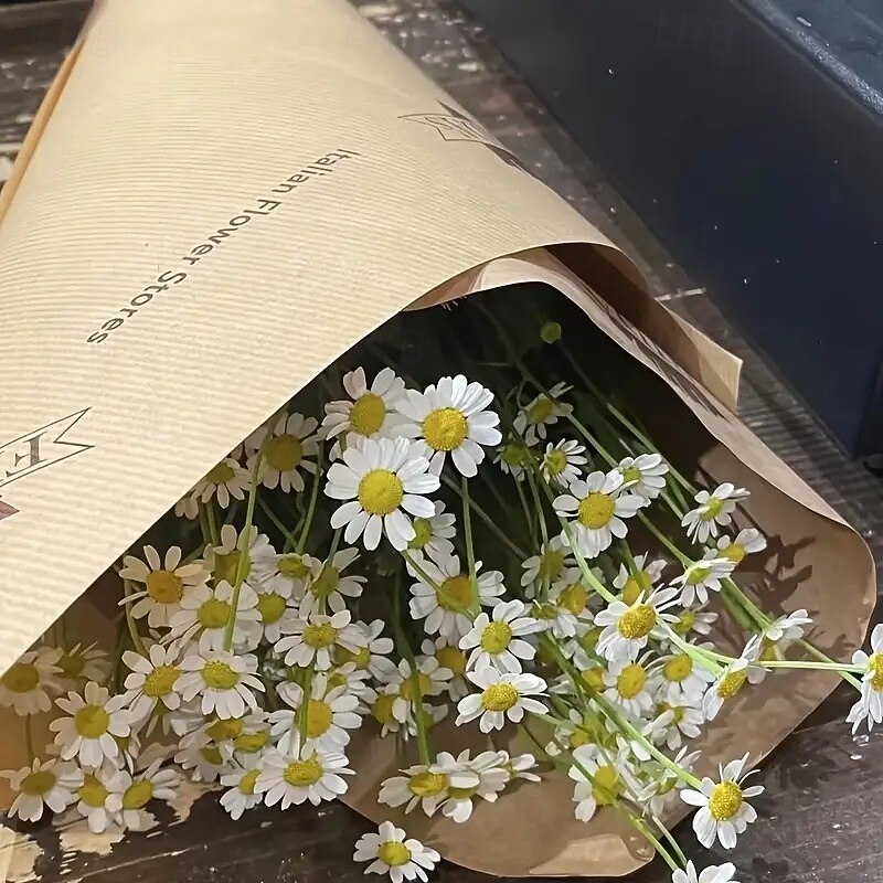 26-Pack Artificial Chamomile Flowers, Realistic White Faux Wedding Bouquets, INS Style Floral Decor for Home, Office, Outdoor Garden, Wedding Arrangements, Wall and Fence Hanging, Arch Decorations, and Photography Props 2025 - $18.99 –P7
