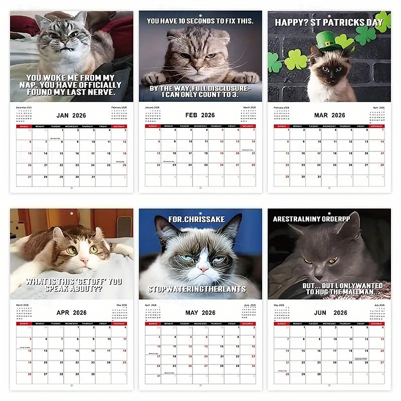 2025年 2026年 怒った猫 カンフー猫カレンダー 面白い犬のうんちカレンダー ラミネート加工 月間プランナー 英語の日付付き 1月から12月まで 自宅やオフィスの装飾に最適 猫好きや犬好きの方に最適 コレクション – $11.21 –P16