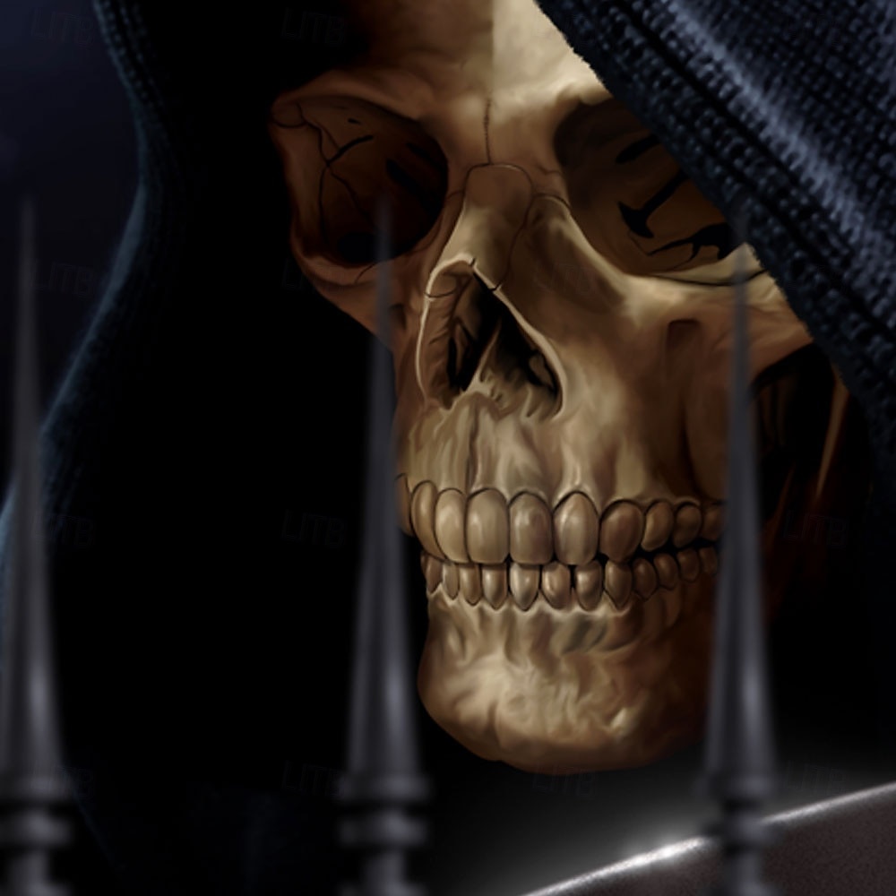 Camicia da uomo a maniche lunghe con bottoni e teschio "Reaper" di Tom Wood, edizione limitata dell'artista. del 2025 a $25.99 –P2