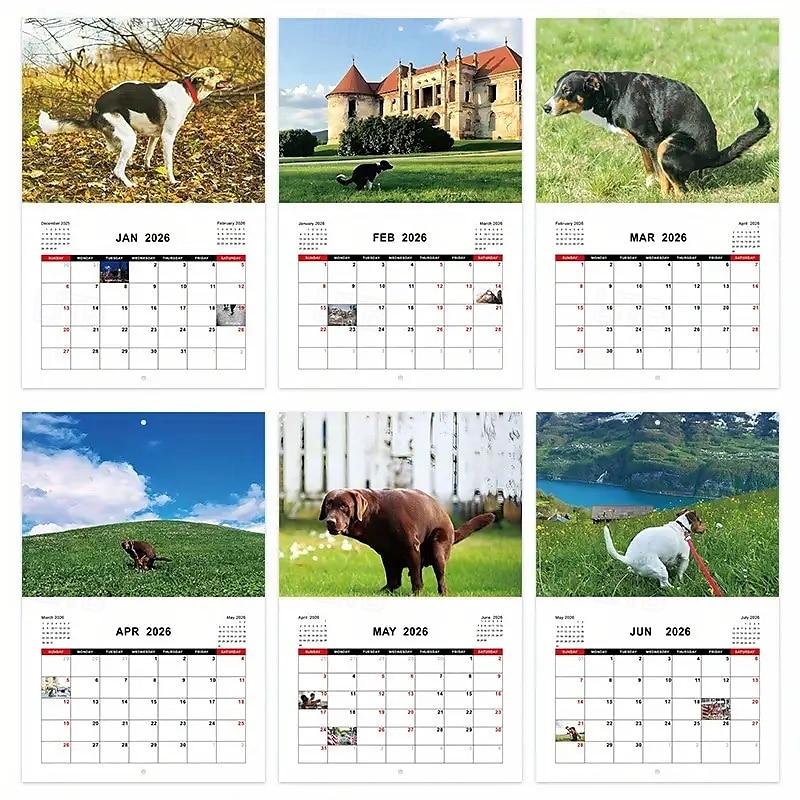 2025年 2026年 怒った猫 カンフー猫カレンダー 面白い犬のうんちカレンダー ラミネート加工 月間プランナー 英語の日付付き 1月から12月まで 自宅やオフィスの装飾に最適 猫好きや犬好きの方に最適 コレクション – $11.21 –P4
