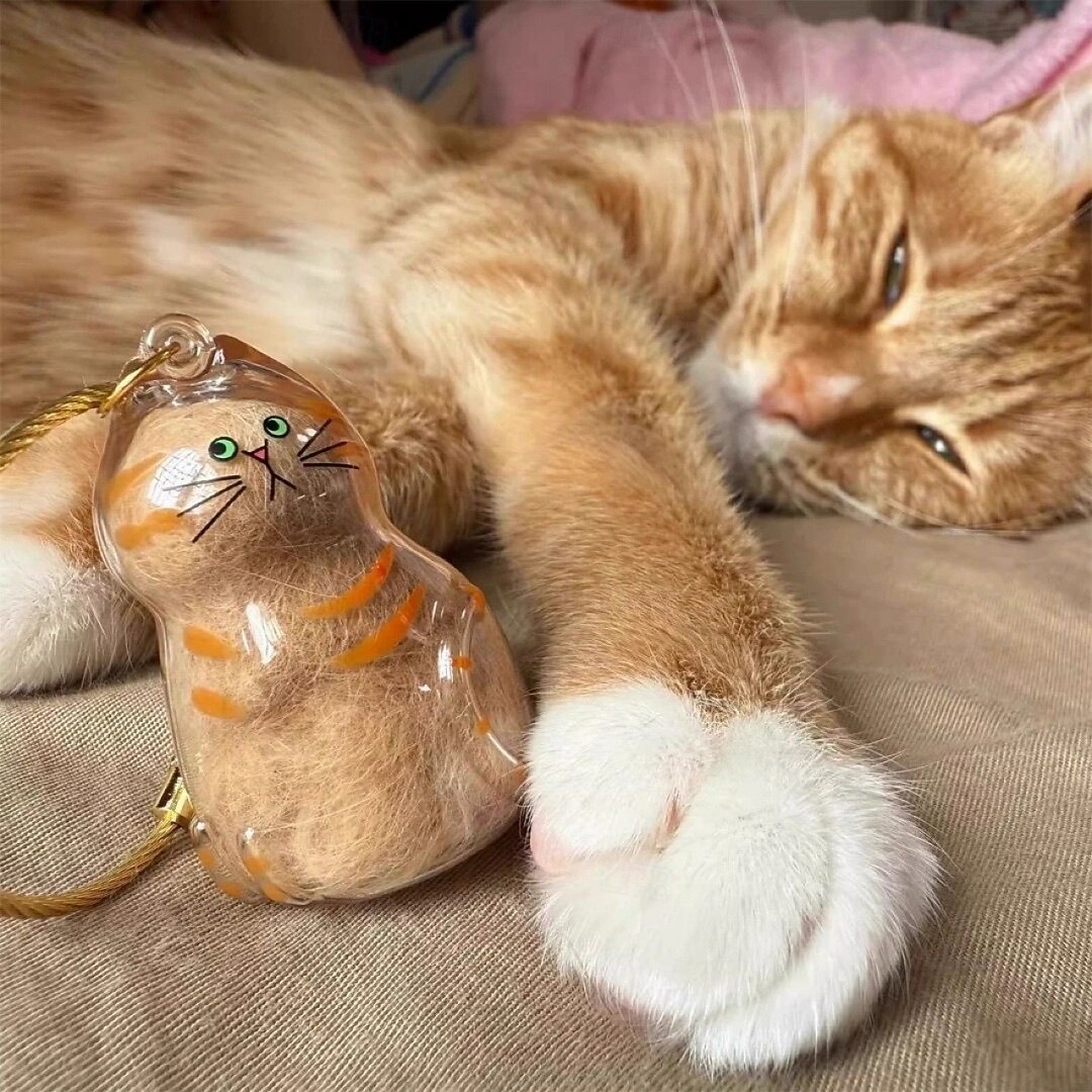 Boîte Rangement Créative Poils De Chat - 6 Bouteilles Acrylique Avec Cordon - Capsule Mémoire Portable