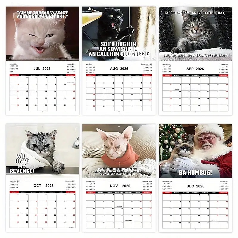 2025年 2026年 怒った猫 カンフー猫カレンダー 面白い犬のうんちカレンダー ラミネート加工 月間プランナー 英語の日付付き 1月から12月まで 自宅やオフィスの装飾に最適 猫好きや犬好きの方に最適 コレクション – $11.21 –P17