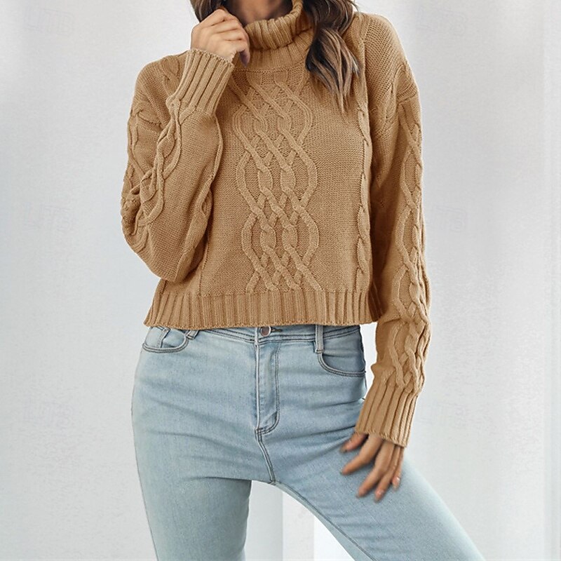 Femmes Pull Occasionnel Couleur Unie Épais Col roulé Tricoté manche longue Hauts Réguliers Tricoter Quotidien Fête Sortir Jaune Bleu Automne Hiver de 2025 ? $22.99 –P7