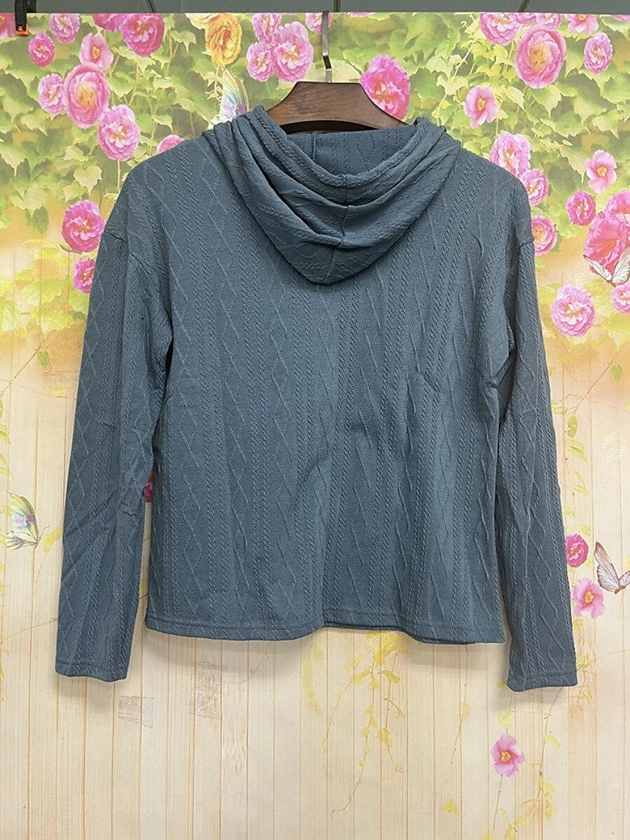 Per donna Felpa con cappuccio Semplice Casual Manica Lunga Con Cappuccio Top Regolari Streetwear Abbigliamento Quotidiano Nero Vino Marrone Grigio Autunno Inverno del 2025 a $24.99 –P4