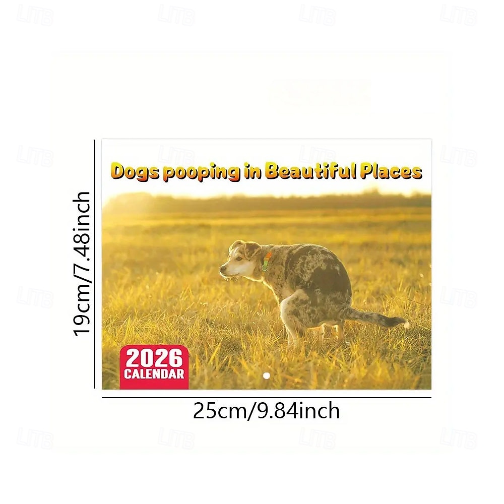 2025年 2026年 怒った猫 カンフー猫カレンダー 面白い犬のうんちカレンダー ラミネート加工 月間プランナー 英語の日付付き 1月から12月まで 自宅やオフィスの装飾に最適 猫好きや犬好きの方に最適 コレクション – $11.21 –P20