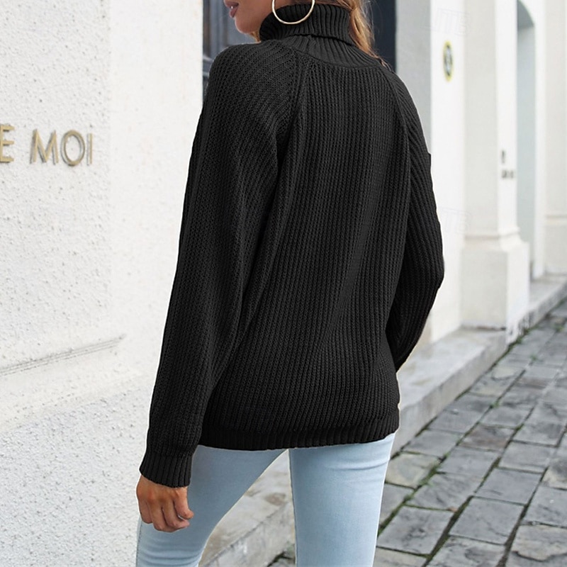 Femmes Pull Occasionnel Couleur Unie Épais Col roulé Tricoté manche longue Hauts Réguliers Tricoter Quotidien Fête Sortir Noir Jaune Automne Hiver de 2025 ? $22.99 –P10