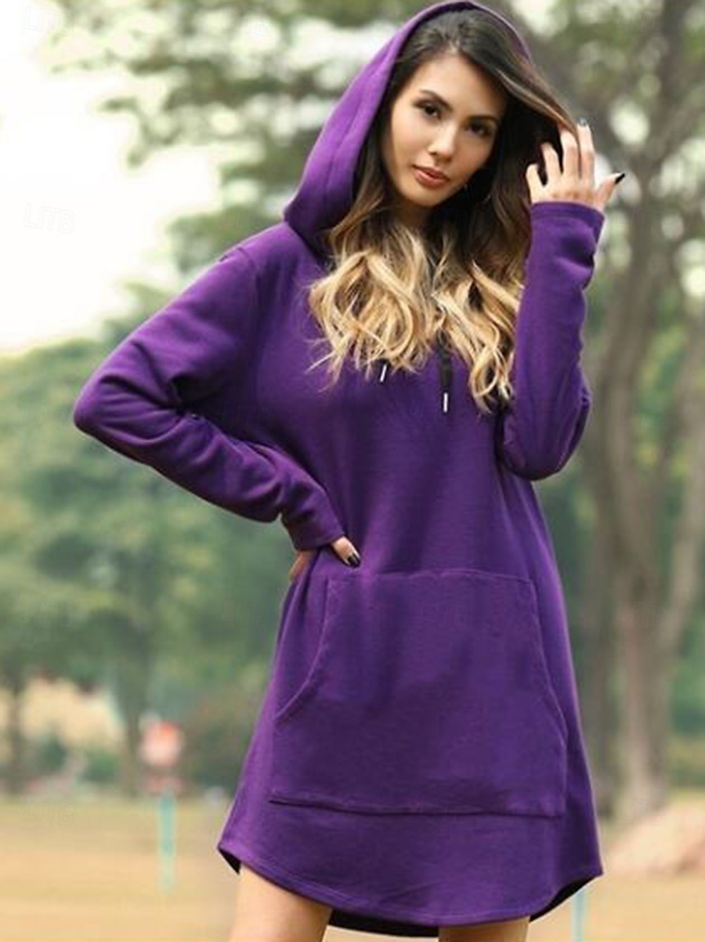 Per donna Mini Abito Abito con Cappuccio Moda Moderno Vacanza Quotidiano Uscire Vestibilità regolare Semplice Manica Lunga Con Cappuccio Nero Giallo Rosso Blu Primavera Autunno del 2025 a $19.99 –P5