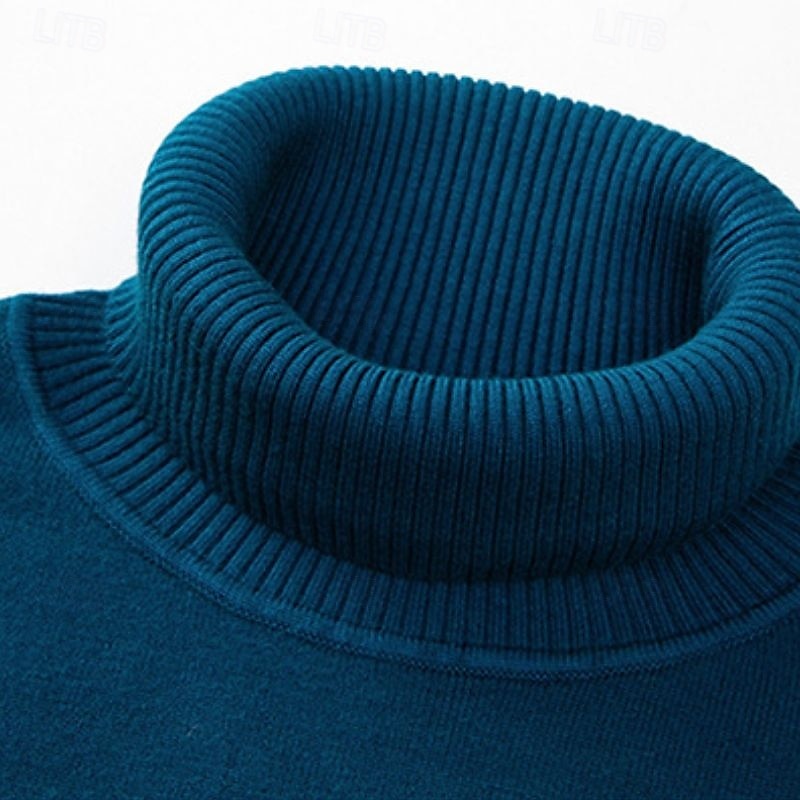 Herre Turtleneck genser Pullover genser Julegenser Riflet Strikke Vanlige topper Strikket عادي Rullekrage Hold Varm Moderne Moderne Dagligdagstøy Ut på byen Klær Høst Vinter Kamel Svart S M L 2025 - $27.99 –P2
