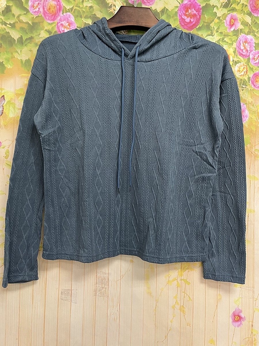 Per donna Felpa con cappuccio Semplice Casual Manica Lunga Con Cappuccio Top Regolari Streetwear Abbigliamento Quotidiano Nero Vino Marrone Grigio Autunno Inverno del 2025 a $24.99 –P5