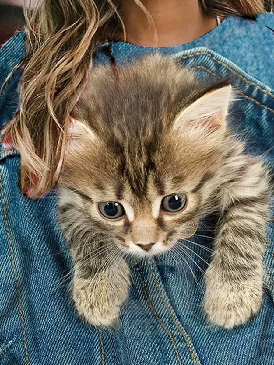 Femmes Sweatshirt Pull Sweats à capuche Imprimé Graphique Animal Chat Mode Occasionnel manche longue Col ras du cou Col rond Hauts Réguliers Rue Tenue Quotidienne Bleu Denim Printemps Automne Hiver de 2026 ? $29.99 –P2