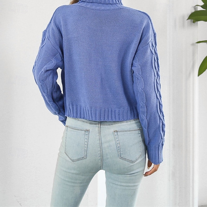 Femmes Pull Occasionnel Couleur Unie Épais Col roulé Tricoté manche longue Hauts Réguliers Tricoter Quotidien Fête Sortir Jaune Bleu Automne Hiver de 2025 ? $22.99 –P4