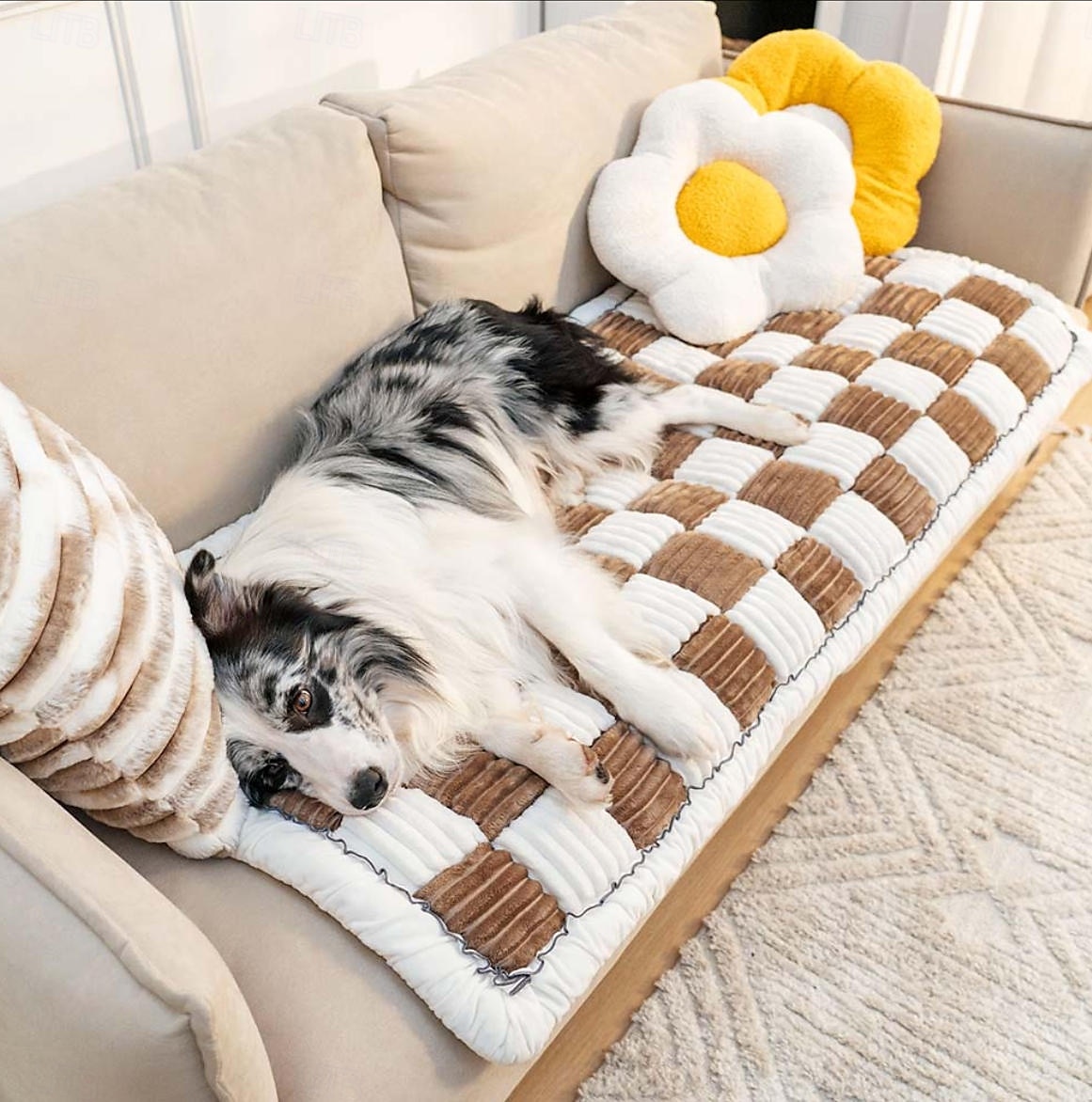 Copridivano per letto con motivo scozzese quadrato color crema, per cani e gatti del 2025 a $130.99 –P12